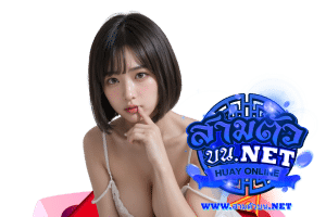 สามตัวบน เข้าสู่ระบบ